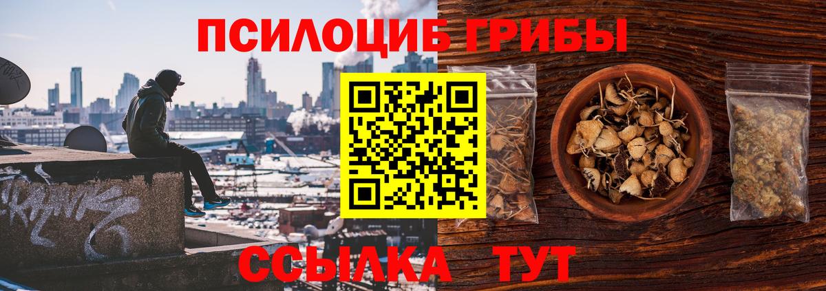 Галлюциногенные грибы GOLDEN TEACHER  Вход с VPN  Сергиев Посад 